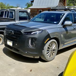 Submitted by Ann S