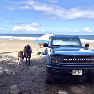 Submitted by Jacob S