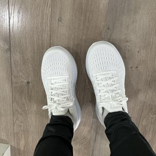 Übermittelt von Ghost max 3