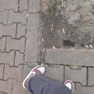 Ortam Görüntüleyicide Tuğçe2dce0494d45446d0b31dcea36f64be33 tarafından gönderilen fotoğrafı açar