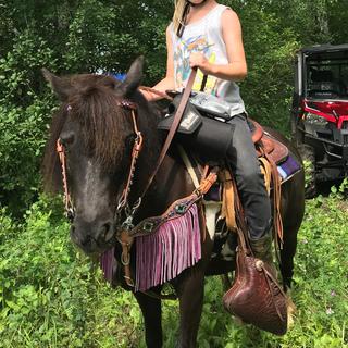 Wholesale Western Horse Headstall Breast Collar Customizable Logo Embossed Leath