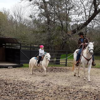 Les bienfaits de l'équitation : découvrez une passion enrichissante