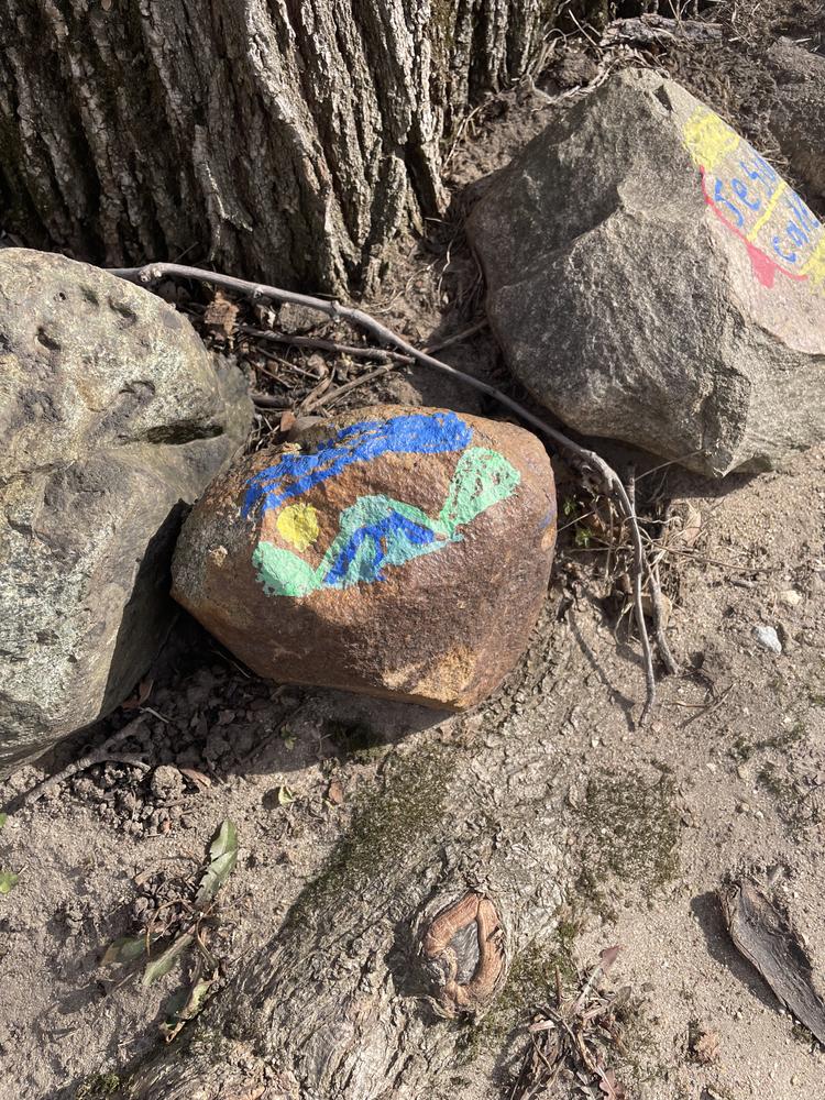 Image 18