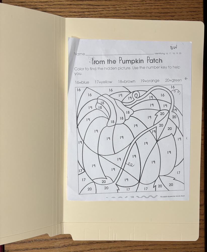 Image 11