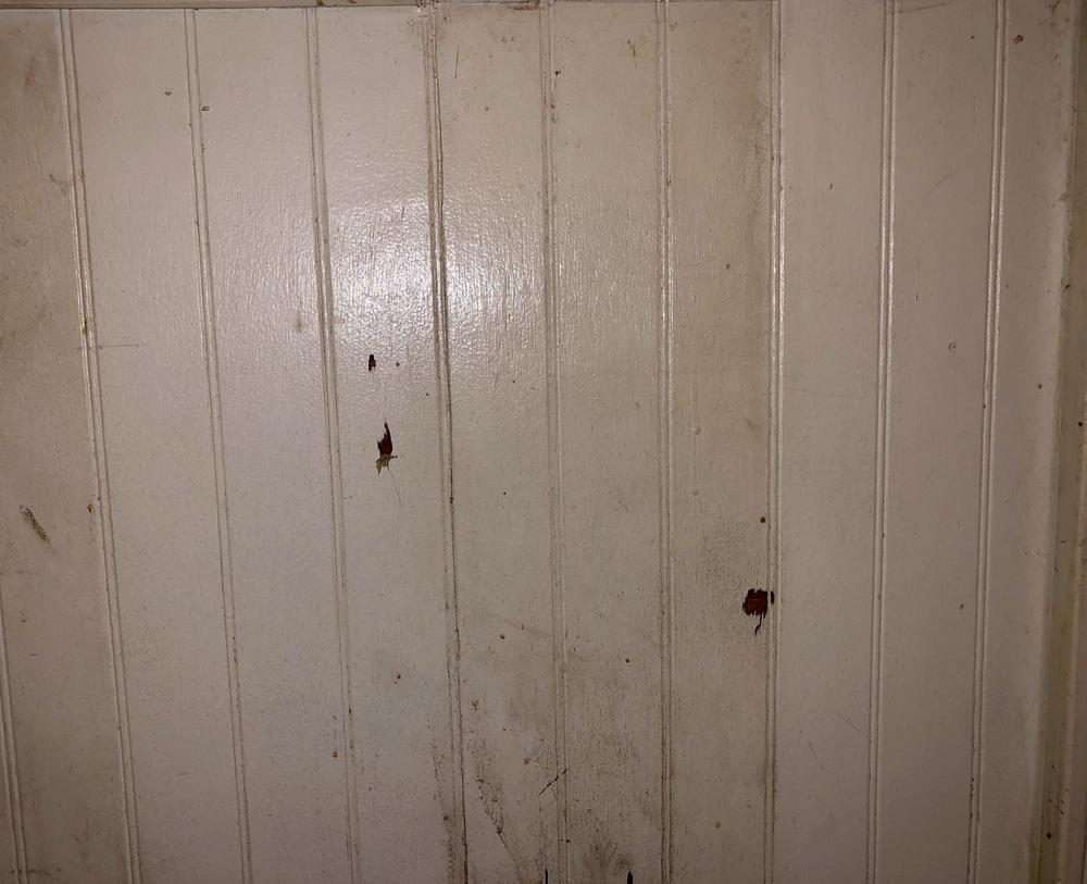Image 14
