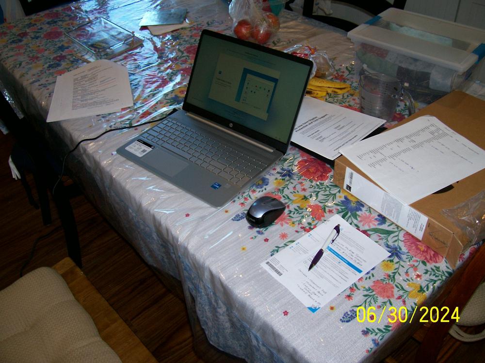 Image 4