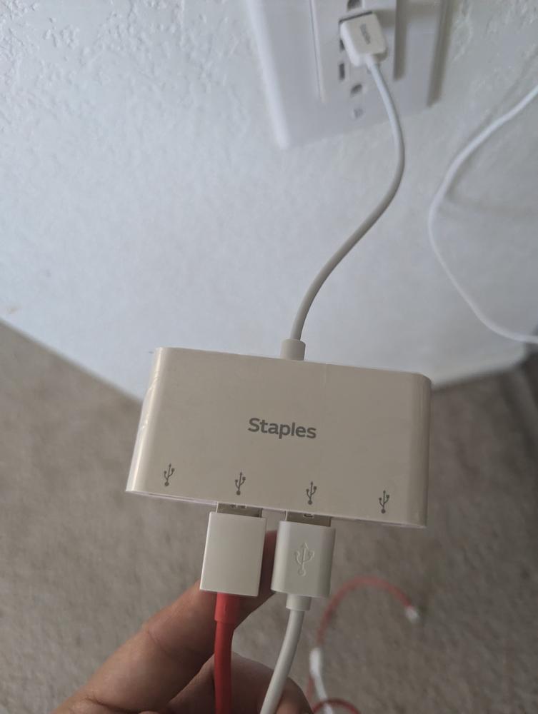 Image 17