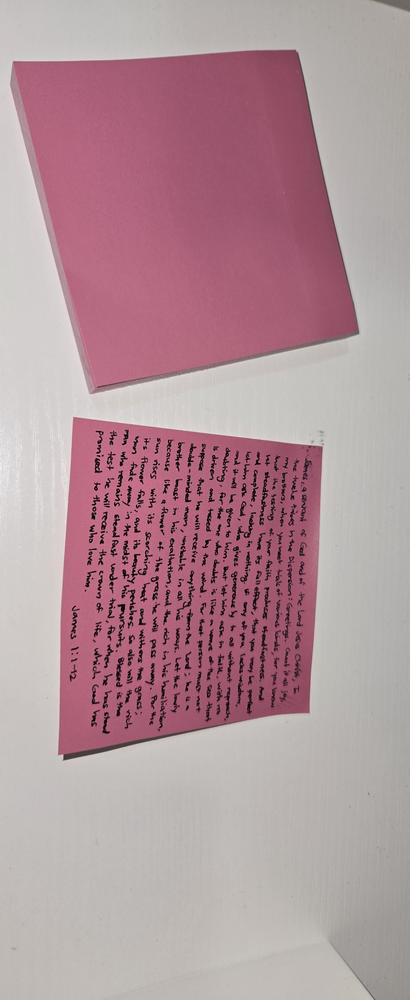 Image 20
