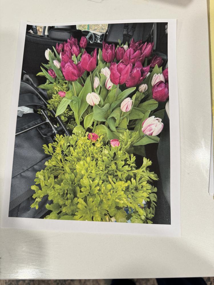 Image 18