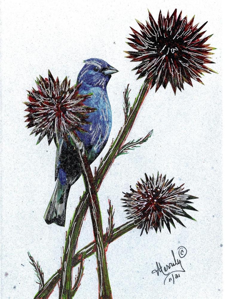 Image 5