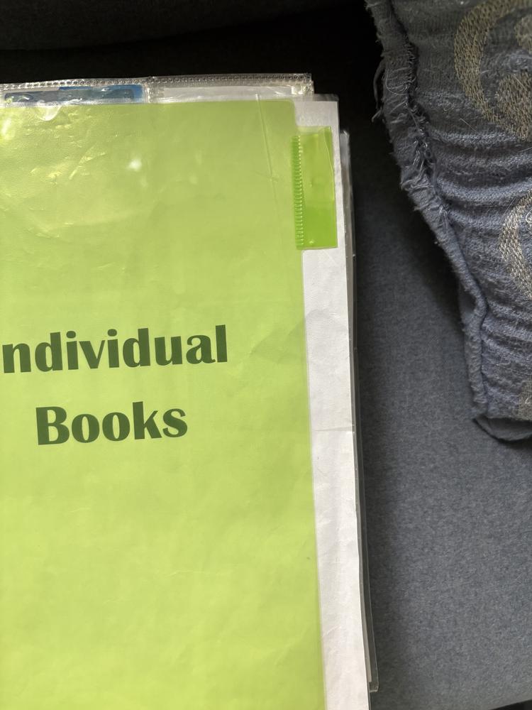 Image 7