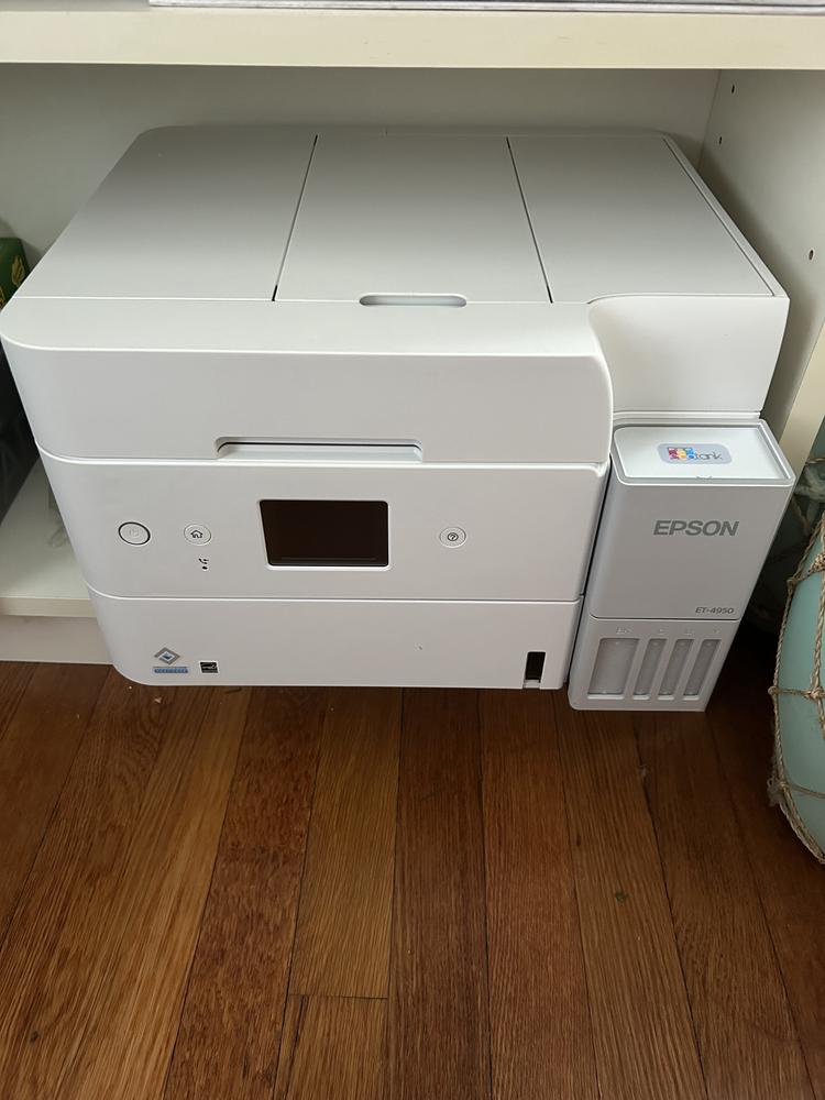 Image 7