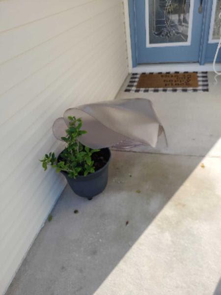 Image 17