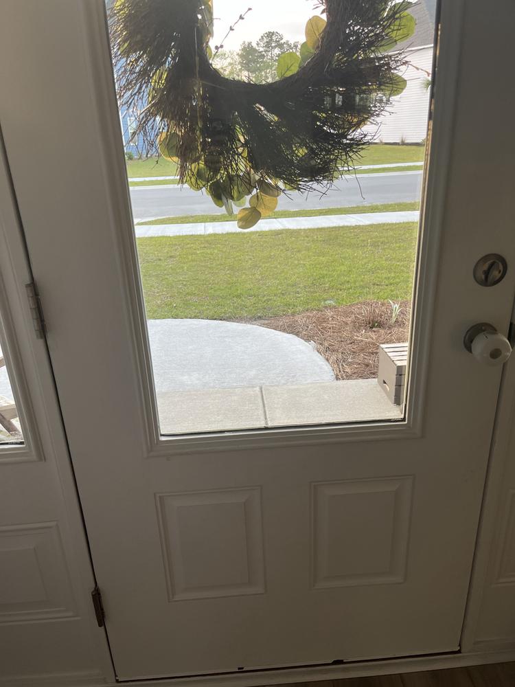 Image 15