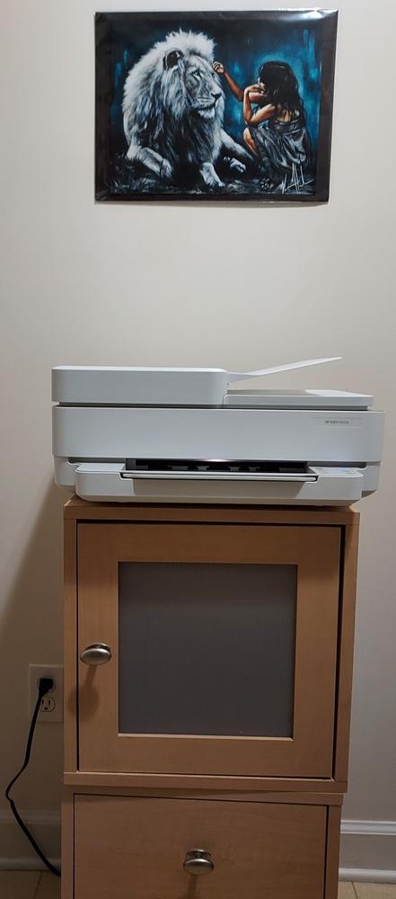 Image 7