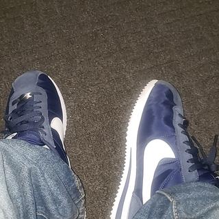 Submitted by miguelG814023183