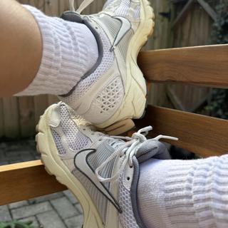 Submitted by malpalhere