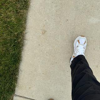 Submitted by M698ab056e3c64dbfa53c38ea3dcffd00