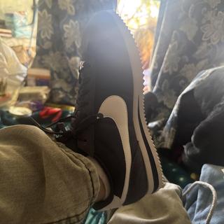Submitted by David181659721