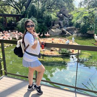 Dinoqueen723様が提出