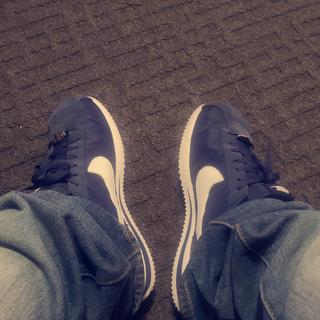 Submitted by miguelG814023183