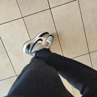 Submitted by Brandon300760746