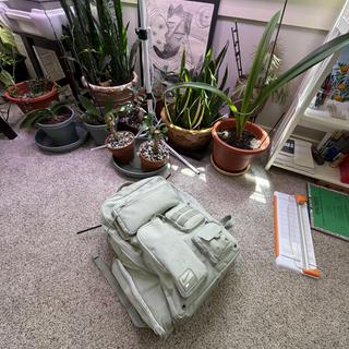 Matt382123573様が提出
