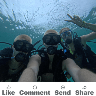 Submitted by Margaret C
