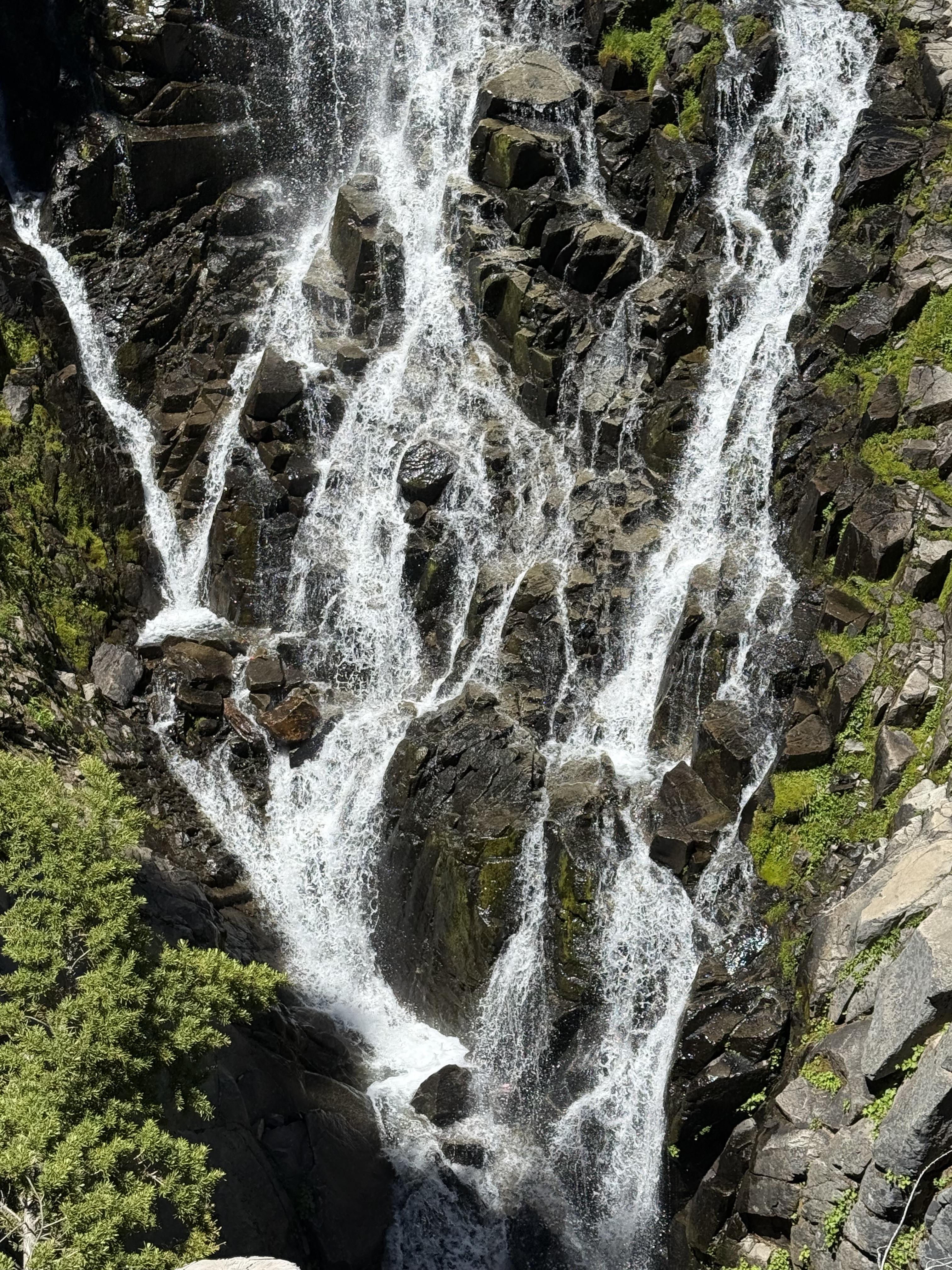 Traveler photo 2