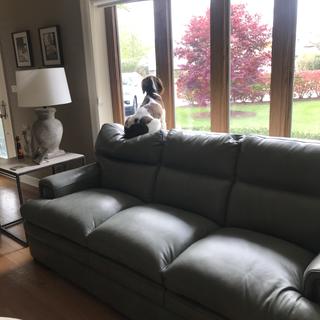 Submitted by Linda F