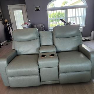Emmons Power Reclining Loveseat w/ Headrest, Lumbar