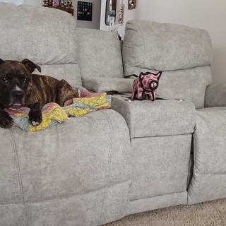 Trouper Power Reclining Loveseat w/ Headrest, Lumbar & Console