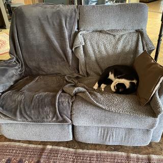 Submitted by Lowri S