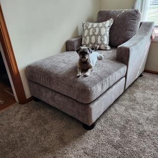 Submitted by Maureen M