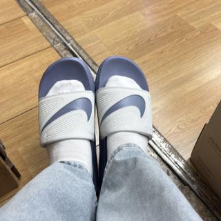 대일798762327이(가) 제출함