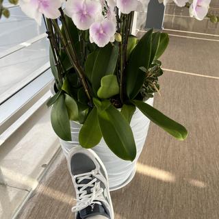 ??357717523이(가) 제출함