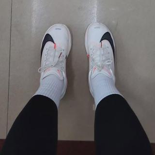 주795042409이(가) 제출함