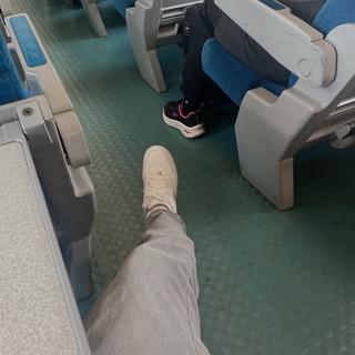 왕엽강10510479이(가) 제출함