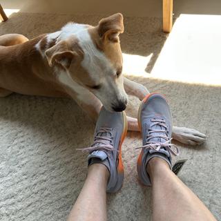 Submitted by SonniaC403148127