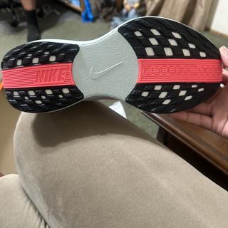 Submitted by Aurie