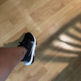 Submitted by JB