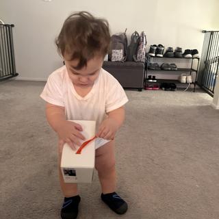 Submitted by MikeyToolz