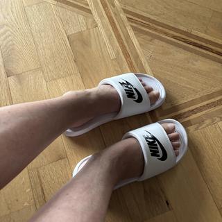 Submitted by Michel781259636