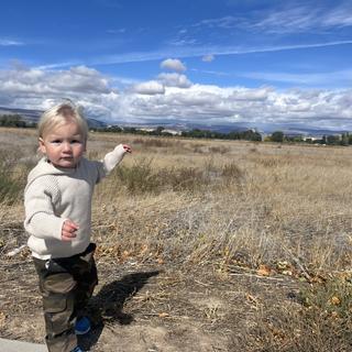 Submitted by Sarah L