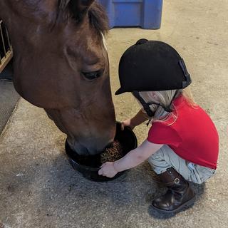 Abre el Visualizador de multimedia para la foto enviada por Janine H.