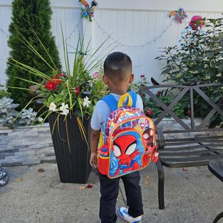 Abre el Visualizador de multimedia para la foto enviada por SHELLEZA S.