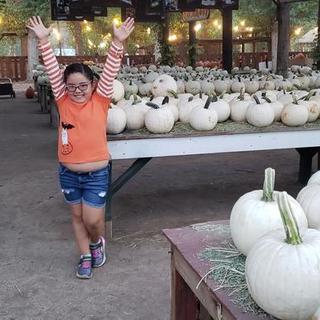 Ouvre la visionneuse de médias pour les photos soumises par Mharrison