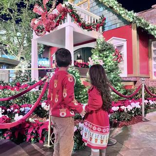 Opens Media Viewer to photo submitted by Elizabeth C