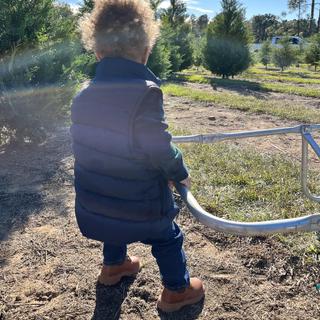 Opens Media Viewer to photo submitted by Corshika C