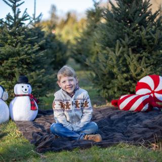 Submitted by Karin K